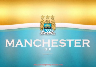 看球通-英超最佳球员亚亚·图雷历年数据与夺奖表现回顾